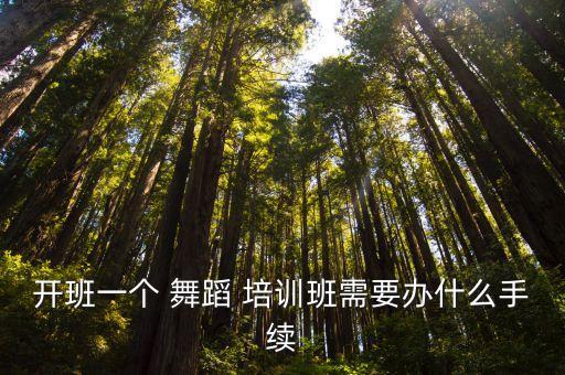 开班一个 舞蹈 培训班需要办什么手续