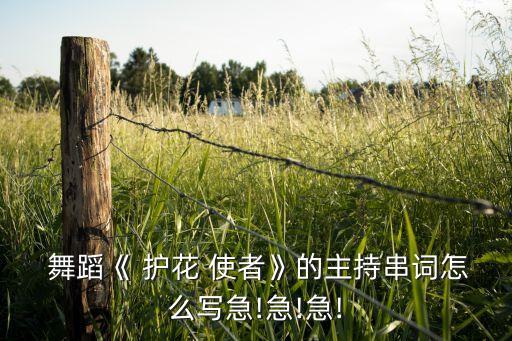  舞蹈《 护花 使者》的主持串词怎么写急!急!急!