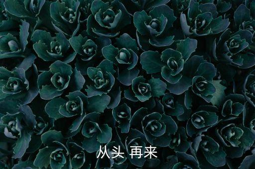 从头 再来