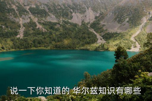 国标华尔兹舞曲 舞蹈,华尔兹又叫圆舞
