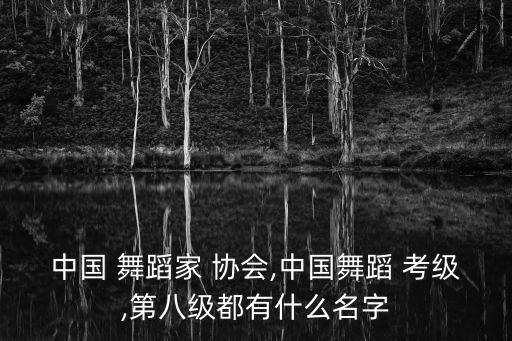 舞蹈家协会考级曲目,中国舞蹈家考级要求公布