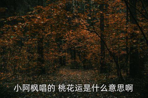 小阿枫唱的 桃花运是什么意思啊