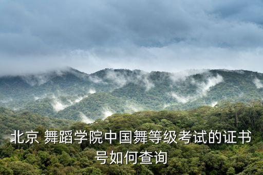 北京 舞蹈学院中国舞等级考试的证书号如何查询