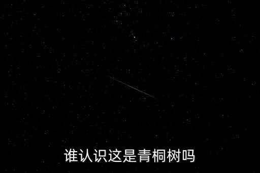 谁认识这是青桐树吗