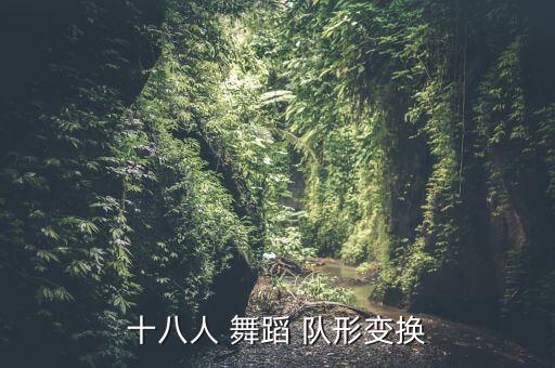 十八人 舞蹈 队形变换