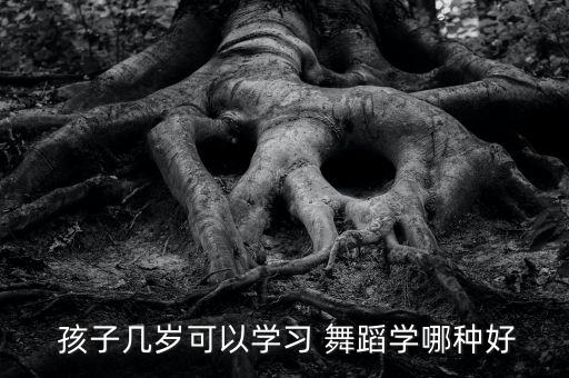  孩子几岁可以学习 舞蹈学哪种好