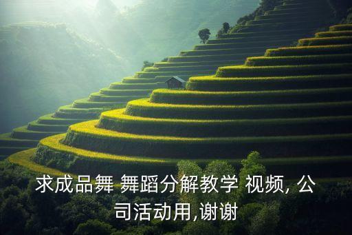 求成品舞 舞蹈分解教学 视频, 公司活动用,谢谢