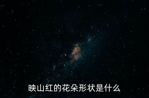 映山红的花朵形状是什么