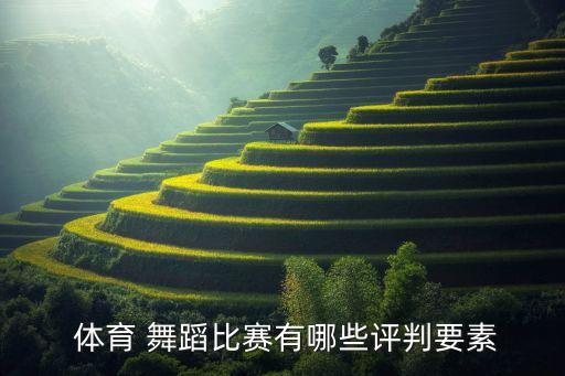  体育 舞蹈比赛有哪些评判要素