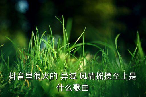 抖音里很火的 异域 风情摇摆至上是什么歌曲