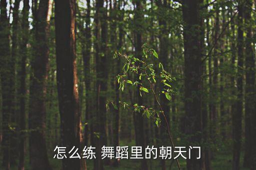 怎么练 舞蹈里的朝天门