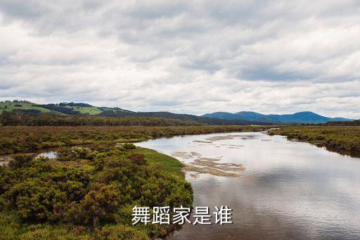 舞蹈家黄豆豆的年龄,四位杰出女舞蹈家肖像作品在英展出
