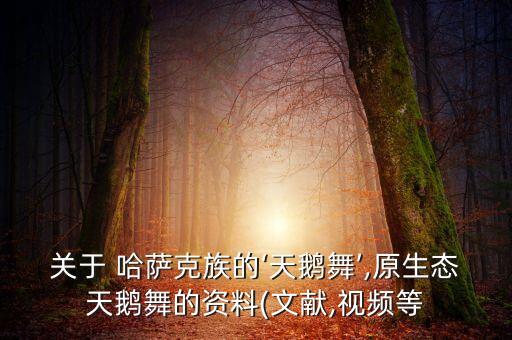 小孩哈萨克族舞蹈最炫,我国哈萨克族文化习俗丰富值得你们认可