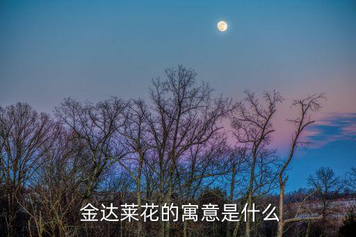  金达莱花的寓意是什么