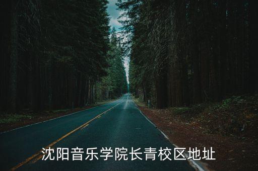 沈阳音乐学院长青校区地址