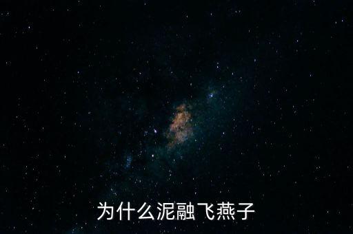 为什么泥融飞燕子
