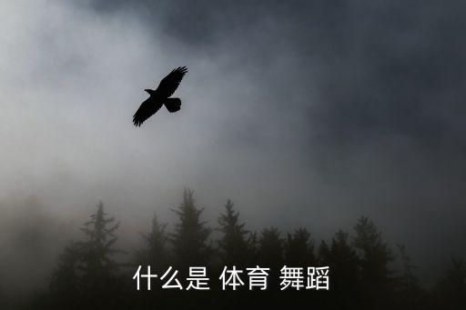 什么是 体育 舞蹈