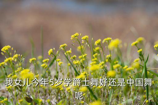 我女儿今年5岁学爵士舞好还是中国舞呢
