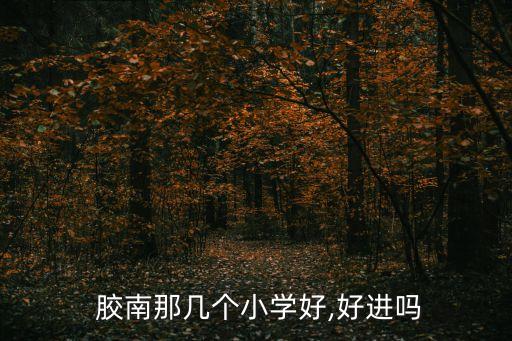 胶南舞蹈,这些小学名校有何优惠?