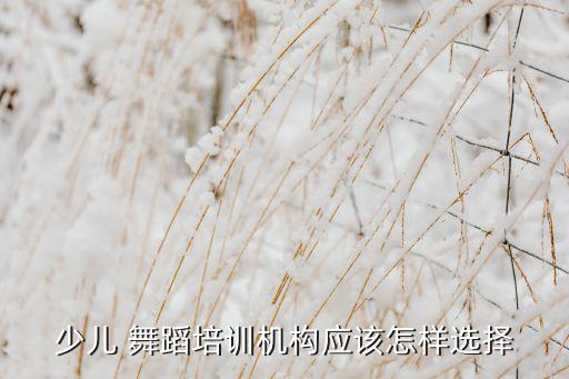 少儿 舞蹈培训机构应该怎样选择