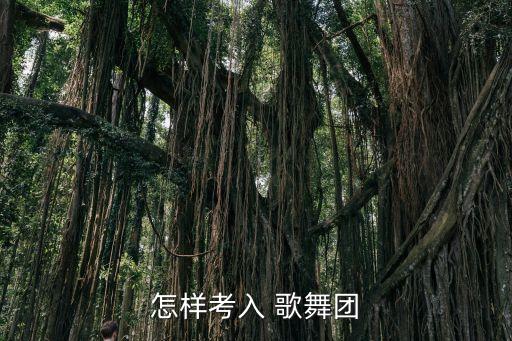 怎样考入 歌舞团