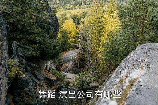  舞蹈 演出公司有哪些