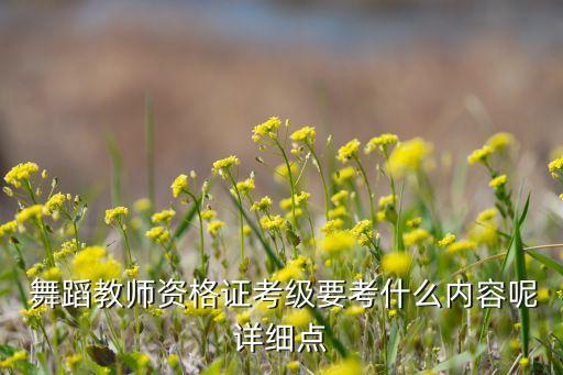 考爵士舞蹈老师,爵士如何通过考试获教授资格?