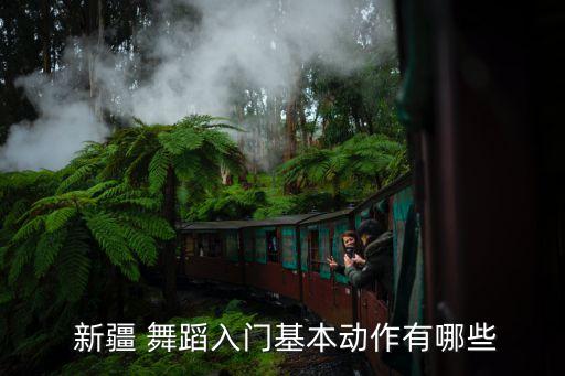  新疆 舞蹈入门基本动作有哪些