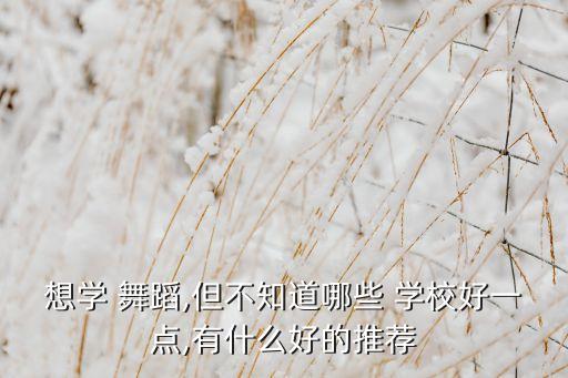想学 舞蹈,但不知道哪些 学校好一点,有什么好的推荐