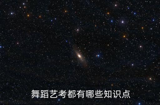 舞蹈考试内容,想定级的学生必须持教师资格证去学校考试