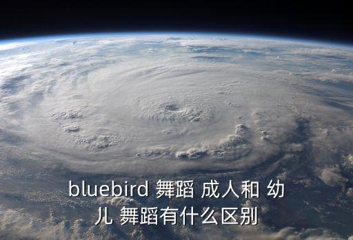 bluebird 舞蹈 成人和 幼儿 舞蹈有什么区别