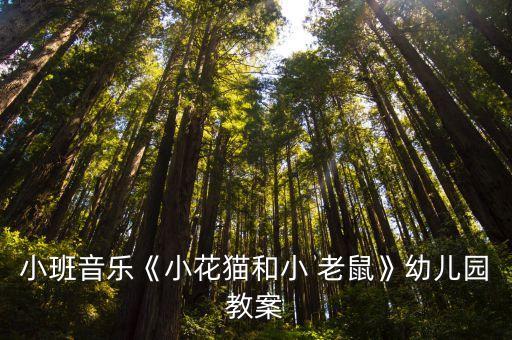小老鼠舞蹈动作集锦,《小花猫萧何老鼠》幼儿园教案供参考