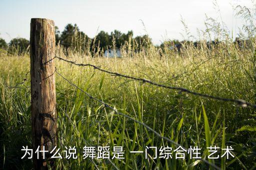 为什么说 舞蹈是 一门综合性 艺术