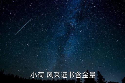  小荷 风采证书含金量