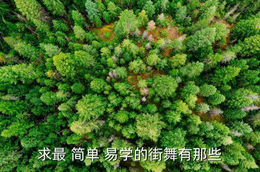 snh48简单易学的舞蹈,爵士舞和嘻哈舞的区别