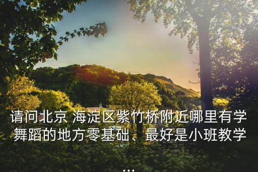 请问北京 海淀区紫竹桥附近哪里有学 舞蹈的地方零基础、最好是小班教学...