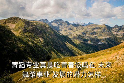 舞蹈行业未来的发展,舞蹈专业学生就业前景不错吗?
