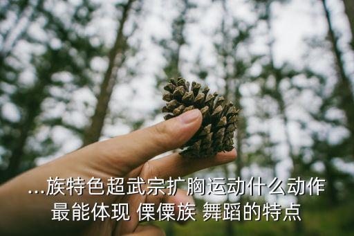 傈僳族舞蹈服短裙,怒江流域的民间舞蹈怎么跳最有代表性?