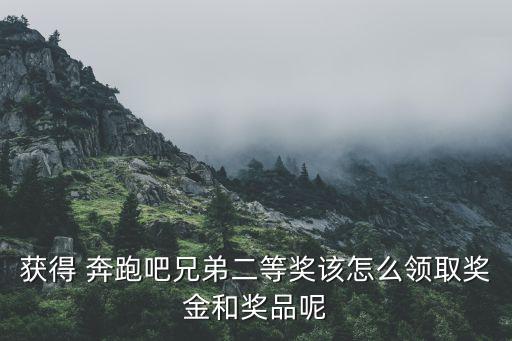 奔跑吧兄弟舞蹈广场舞视频下载,如何获得奔跑吧兄弟二等奖?
