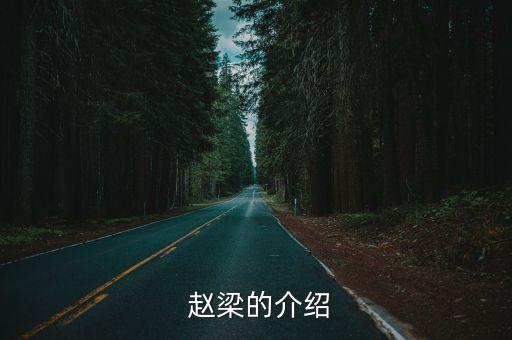 舞蹈艺术家 赵梁,独立艺术家赵梁舞蹈获中国最高奖金奖舞蹈