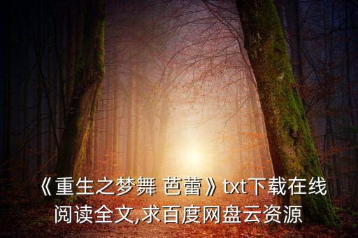 《重生之梦舞 芭蕾》txt下载在线阅读全文,求百度网盘云资源