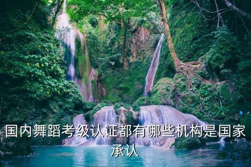 国内舞蹈考级认证都有哪些机构是国家承认