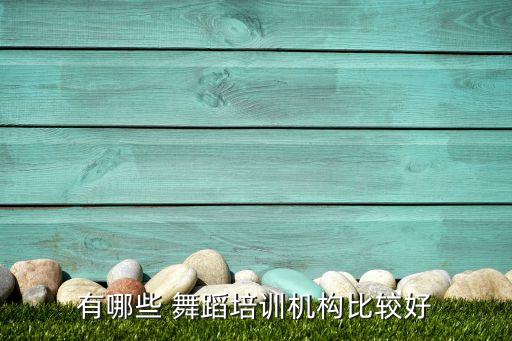 有哪些 舞蹈培训机构比较好