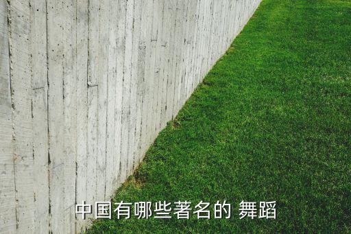 中国有哪些著名的 舞蹈