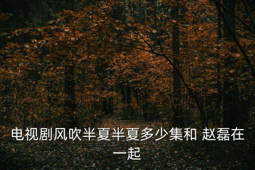 电视剧风吹半夏半夏多少集和 赵磊在一起