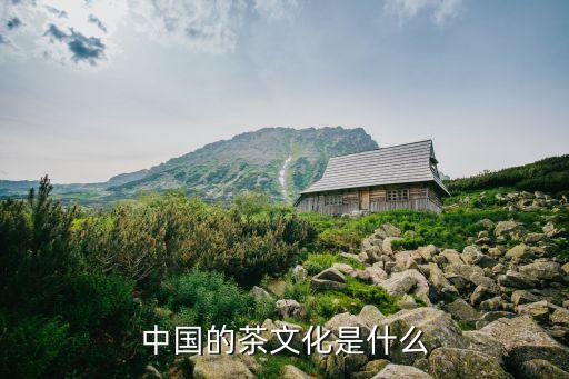 中国的茶文化是什么