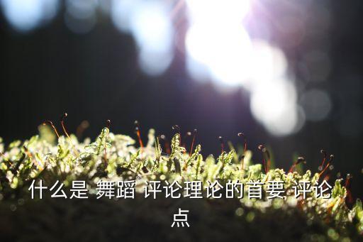 舞蹈评论网站大全,看不同舞蹈视频了解不同类型舞蹈区别