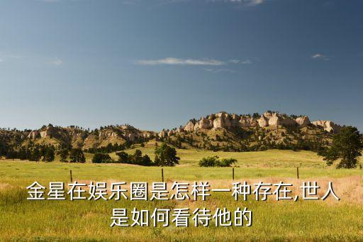 94年春晚金星编的舞蹈,金星，中国著名现代舞蹈艺术家