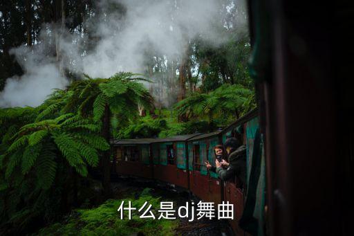 什么是dj舞曲