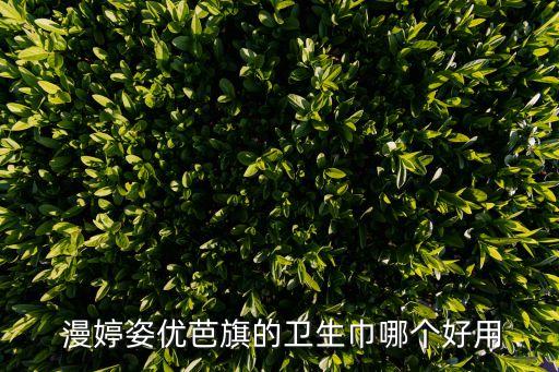 漫婷姿舞蹈服饰,婷婷姿很好用法定代表人吴勇奇